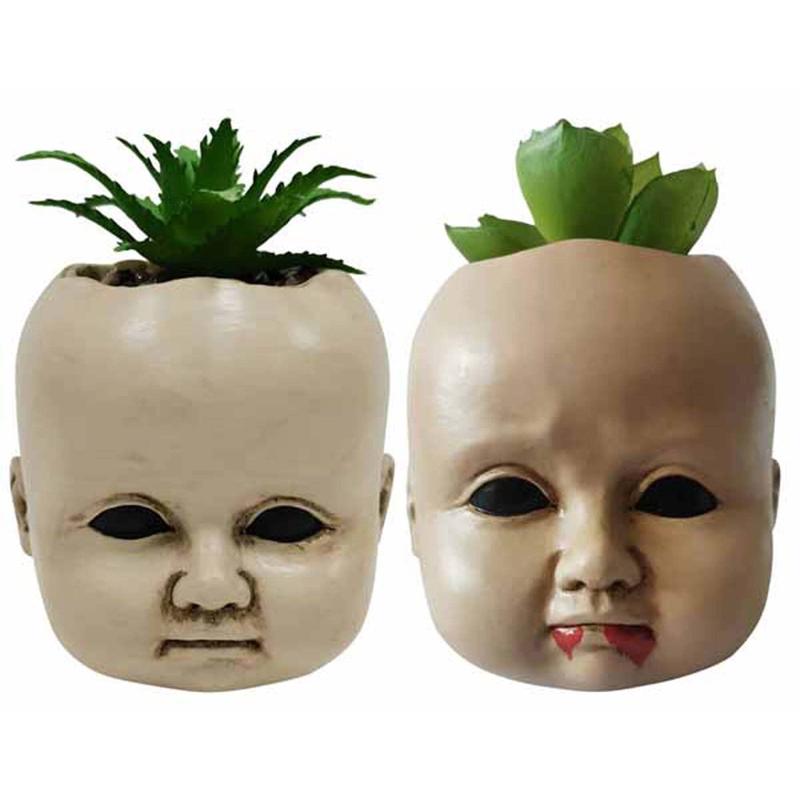 Creepy Doll Succulent, Assortment, 1 Count