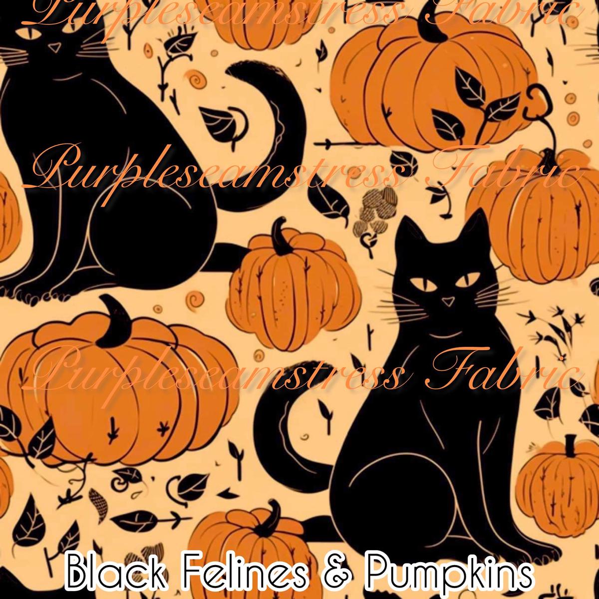 Black Felines & Pumpkins  Fa...