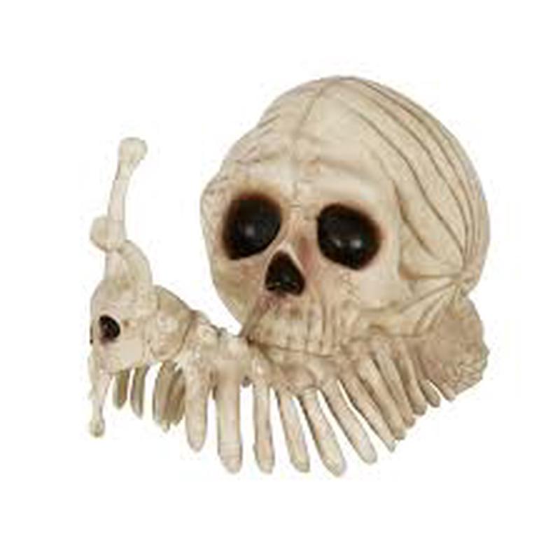 Snail Bonez