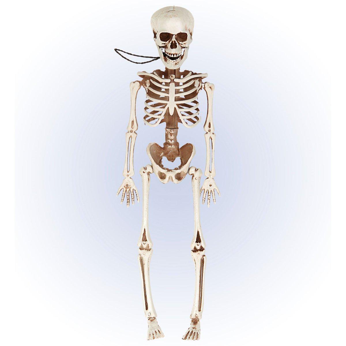 Bevgeligt Halloween-skelet, 40 cm