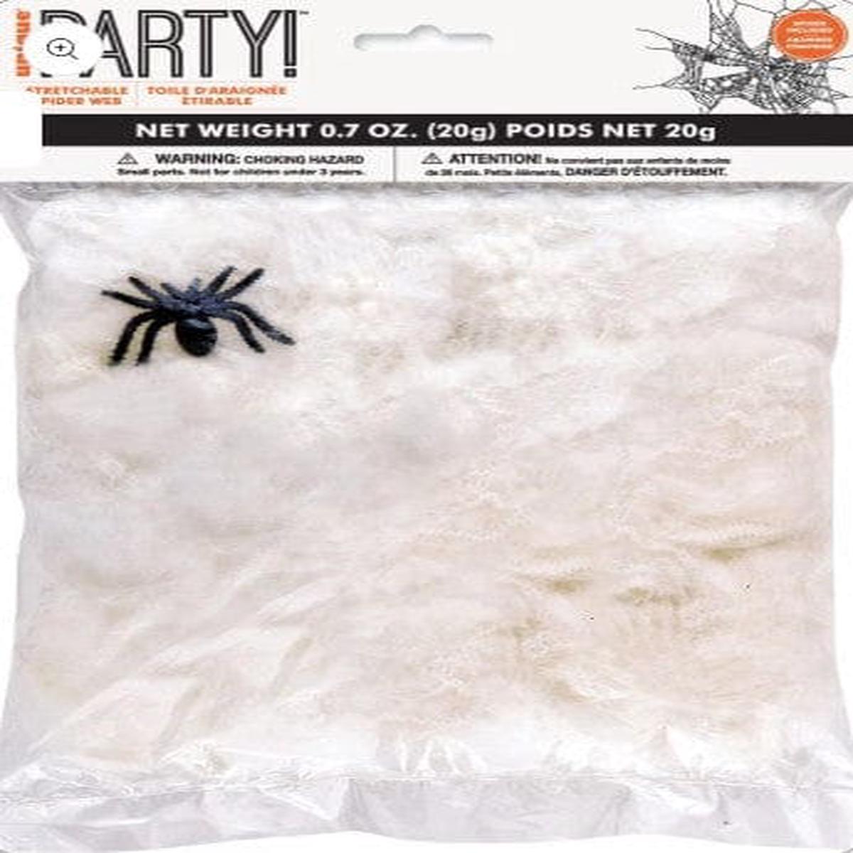 Spider & Spider Web Bag