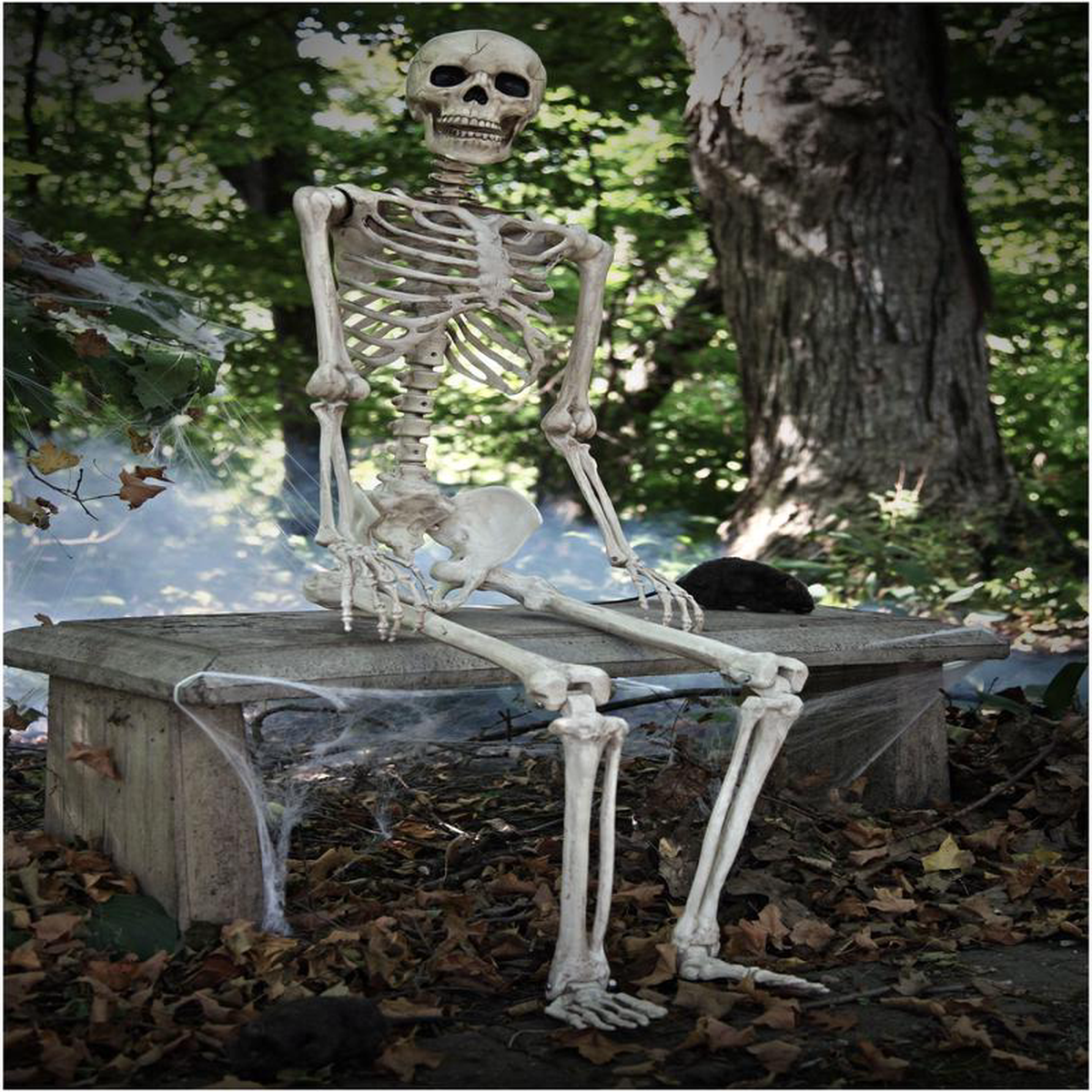 Skeleton 8211 7 Foot