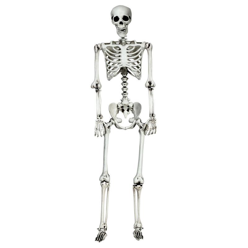5.4 Feet Halloween Skeleton, Life Size, Realistic Full Body, White - White